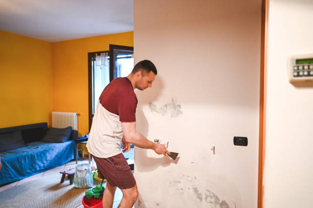 Best Mold Remediation for Specific Building Types in Winter Garden, FL